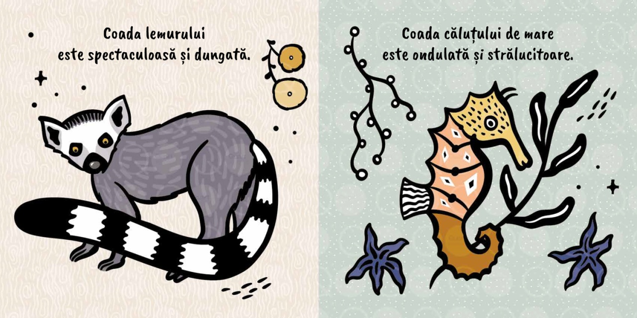 Atinge si simte - Cozi - imagine 3