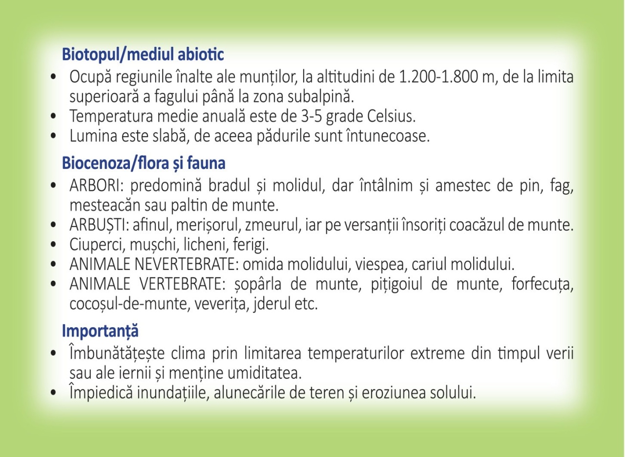 Biologie - 36 de jetoane - Clasa a V- a - imagine 5