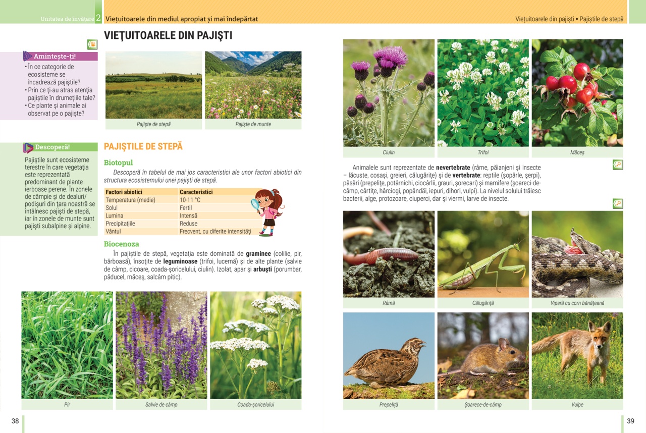 Biologie: Manual pentru clasa a V-a - imagine 5