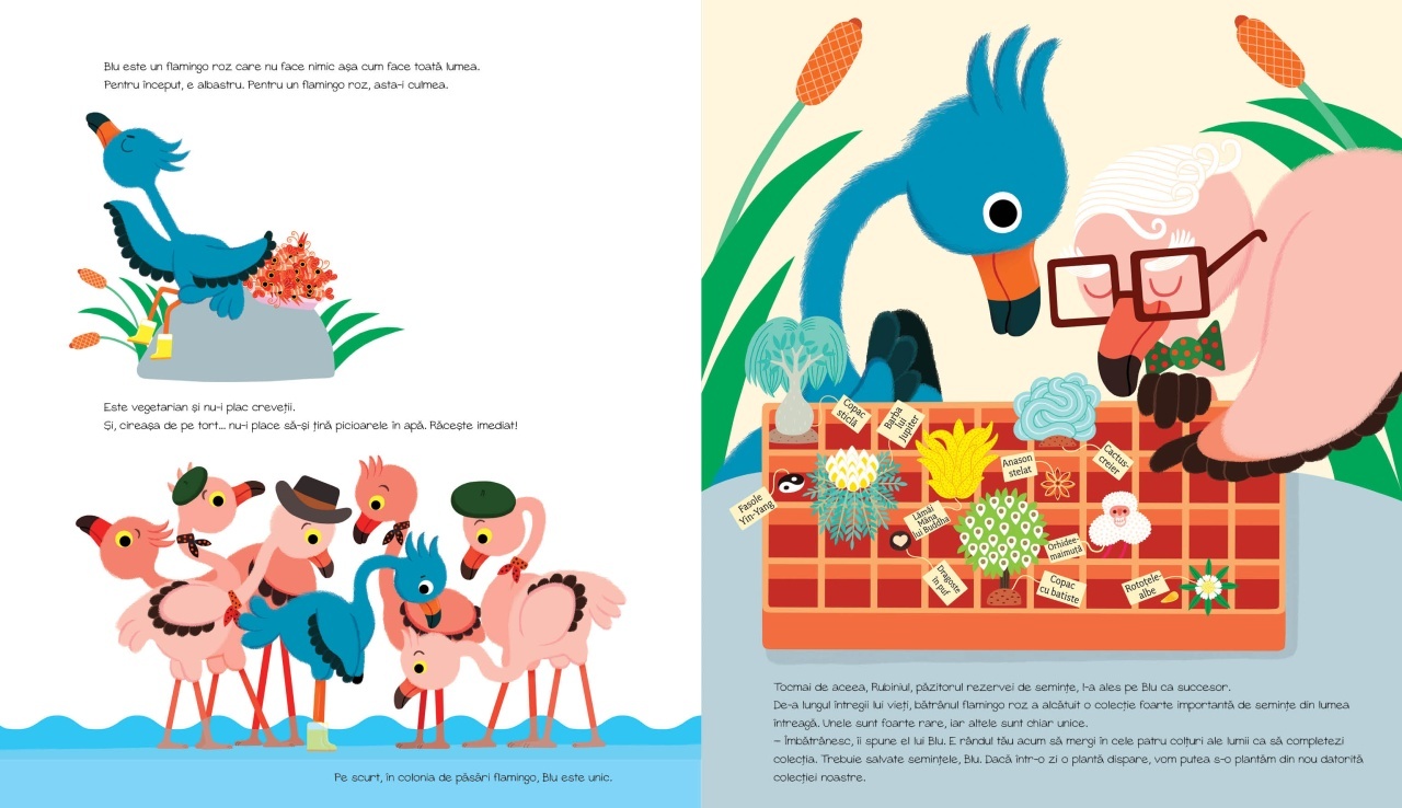 BLU in misiune in jurul lumii - imagine 3