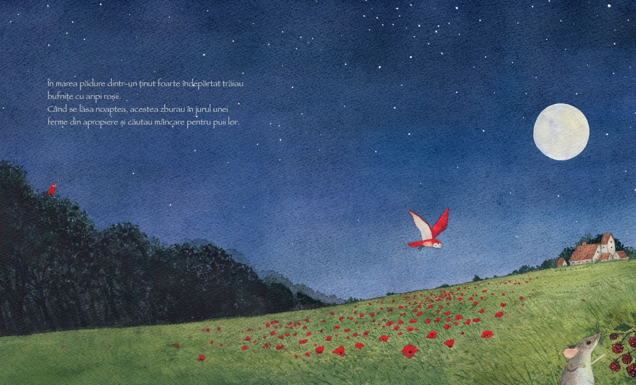 Bufnita cu aripi rosii - imagine 3