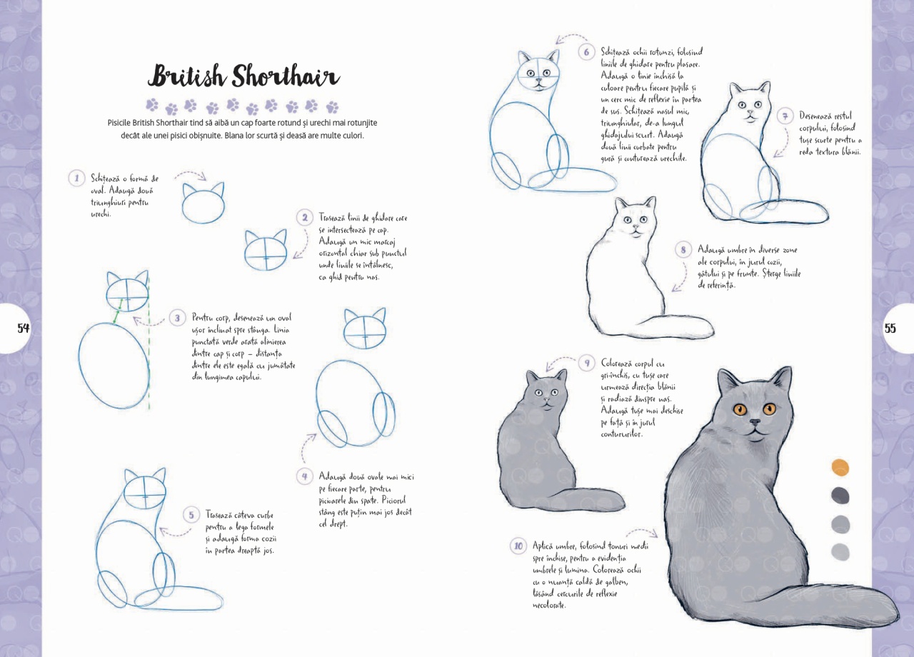 Desen in 10 pasi. Pisici - imagine 6