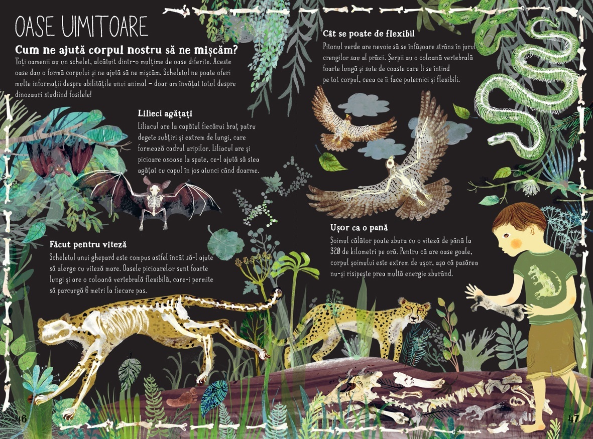 Marea carte cu intrebari - imagine 5