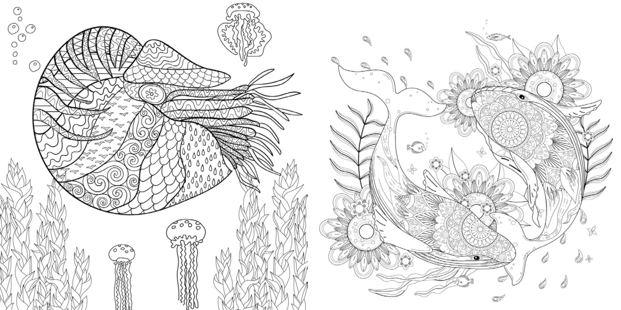 Animale marine - Carte de colorat - imagine 4