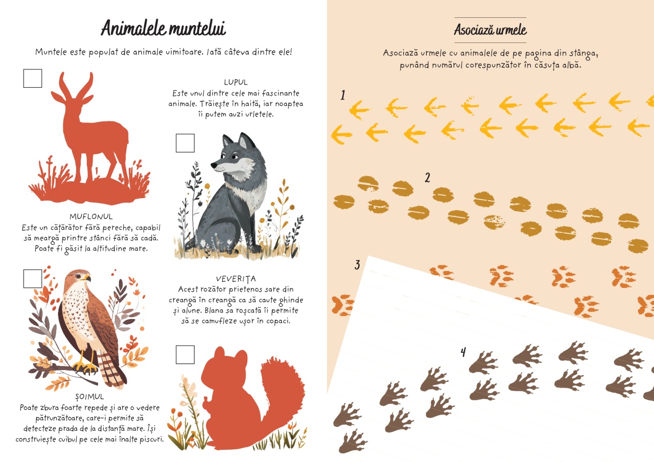 Aventuri la munte - Activitati si abtibilduri - imagine 5