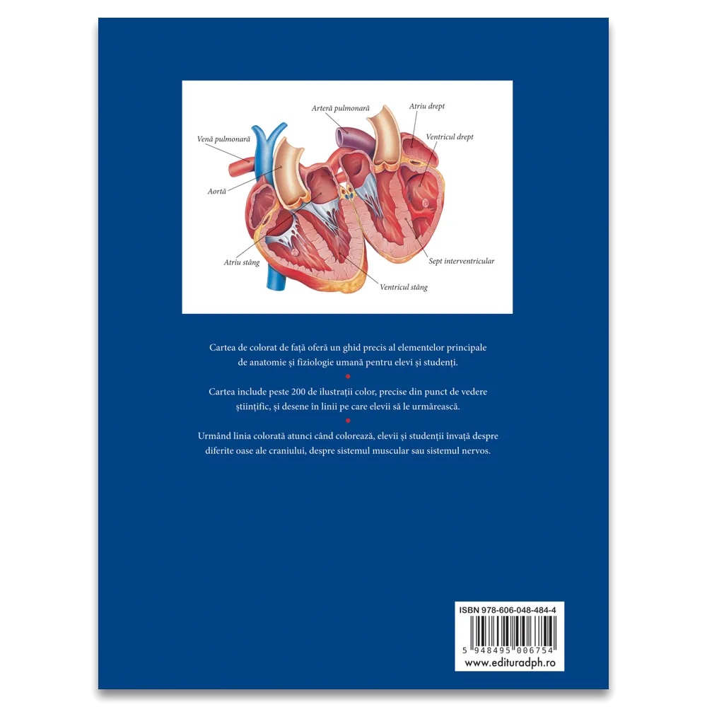 Corpul uman: Invata prin desen - imagine 2