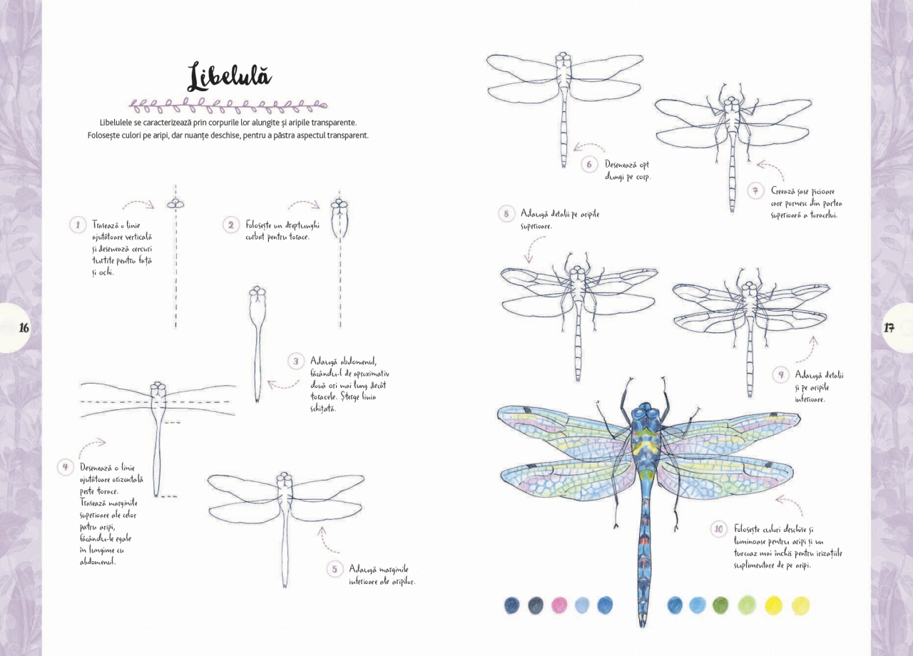 Desen in 10 pasi. Natura - imagine 5