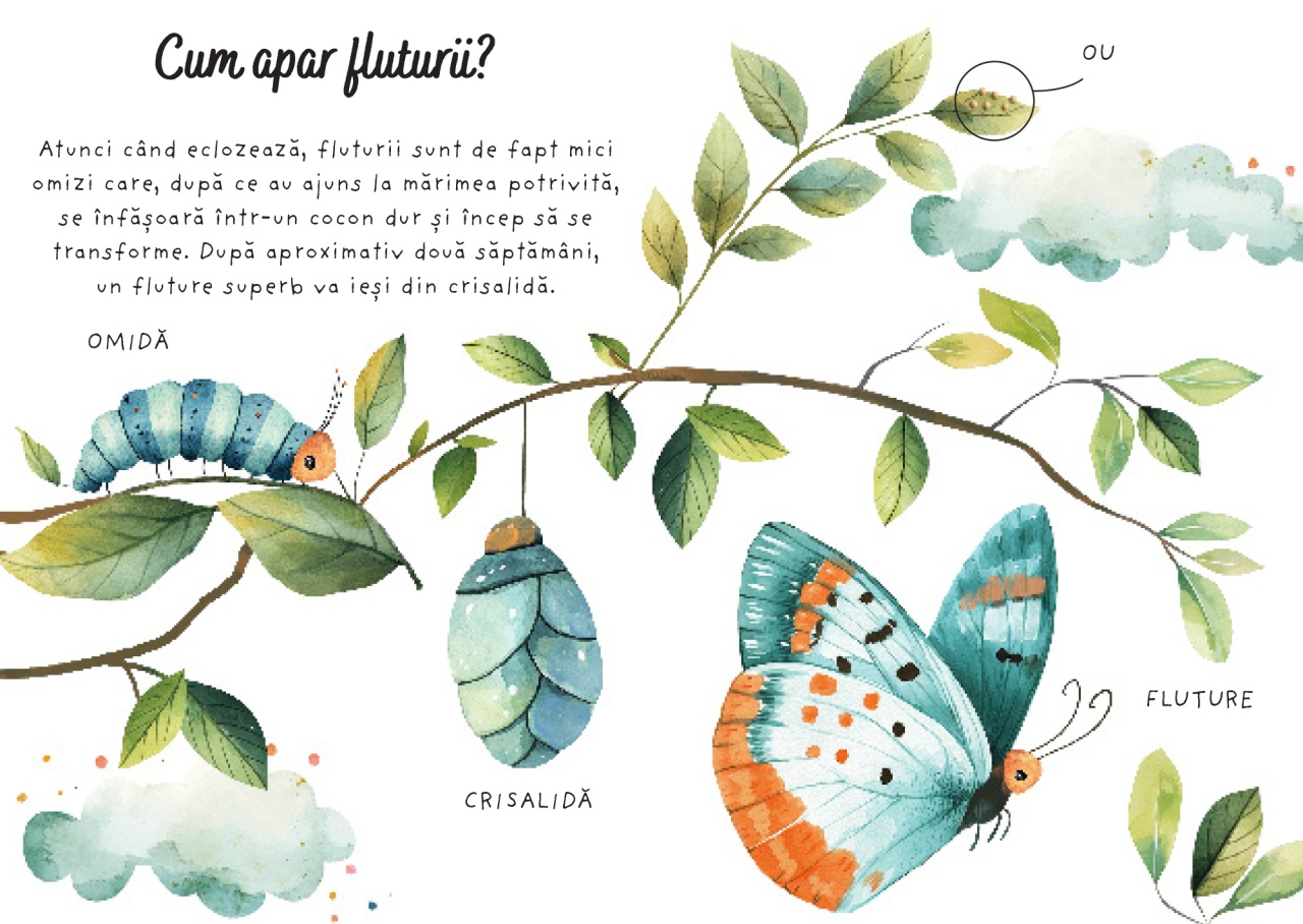 Fluturii - Puzzle magic de colorat cu apa - imagine 4