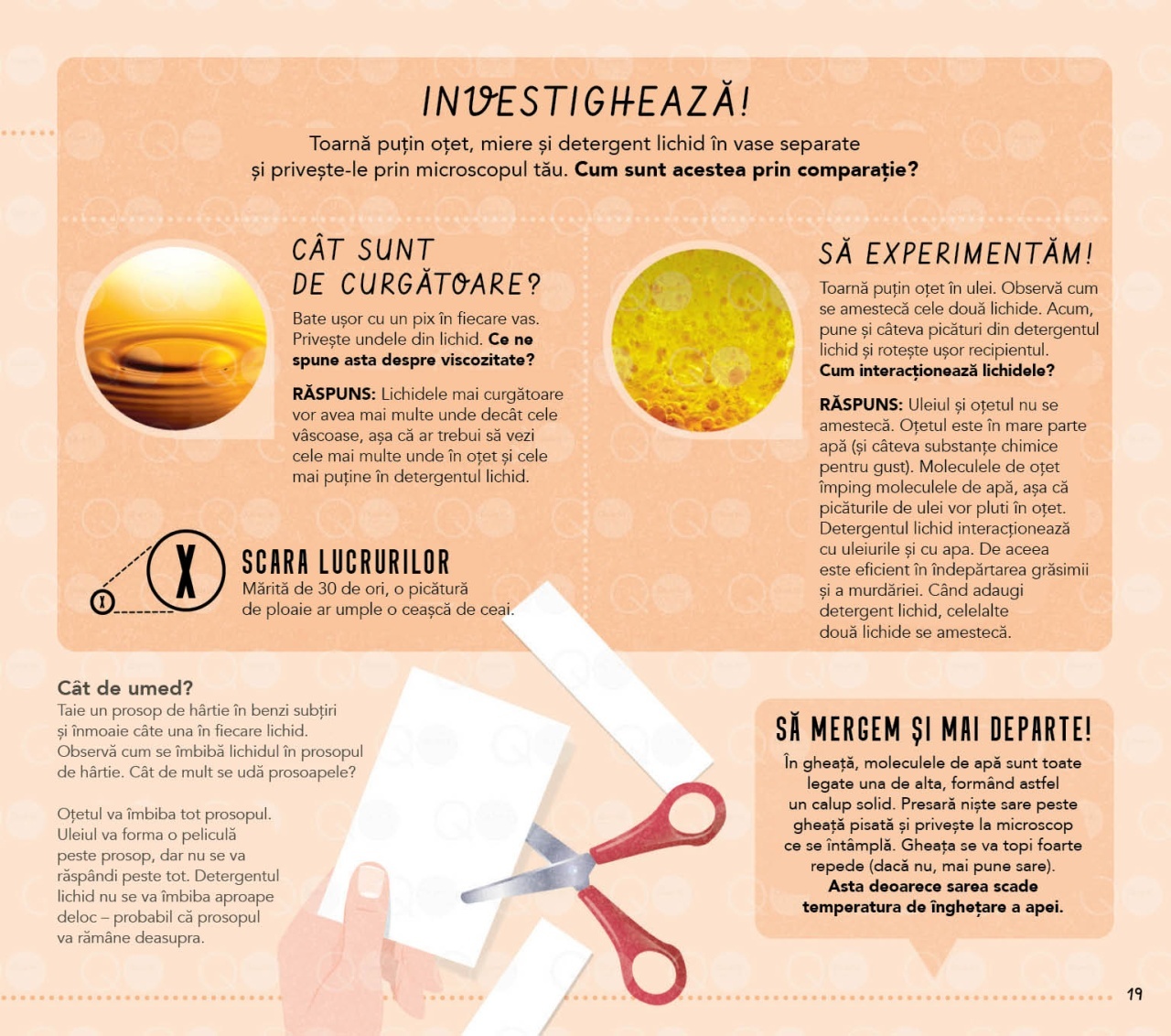 Lumea vazuta prin microscop - imagine 5