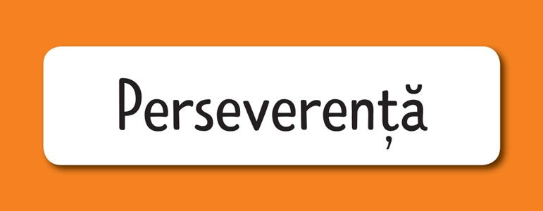 Misiune indeplinita: Acord primul ajutor - imagine 9