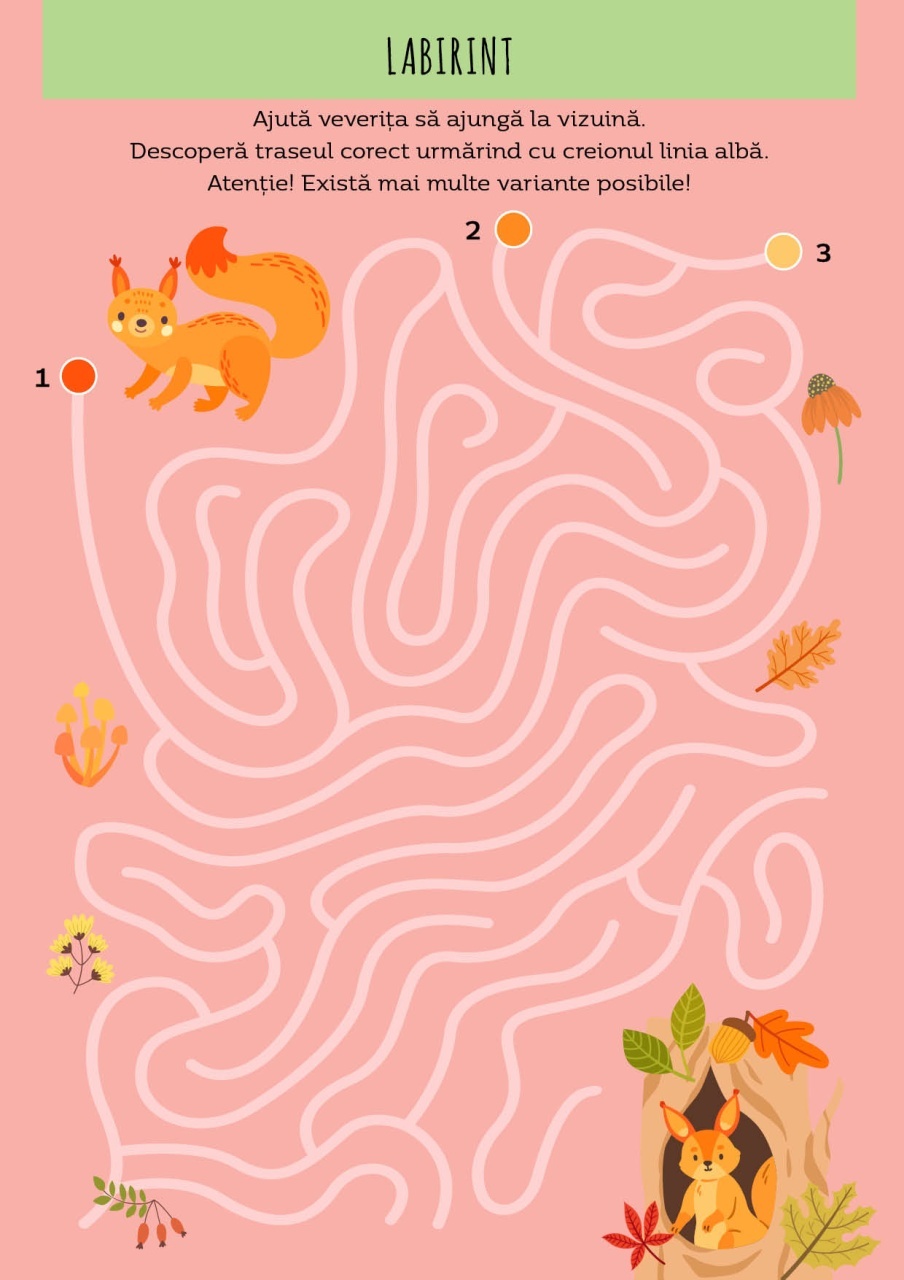 Padurea - Activitati si abtibilduri - imagine 4