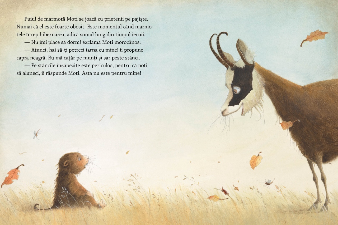 Somn usor, vise placute - imagine 3