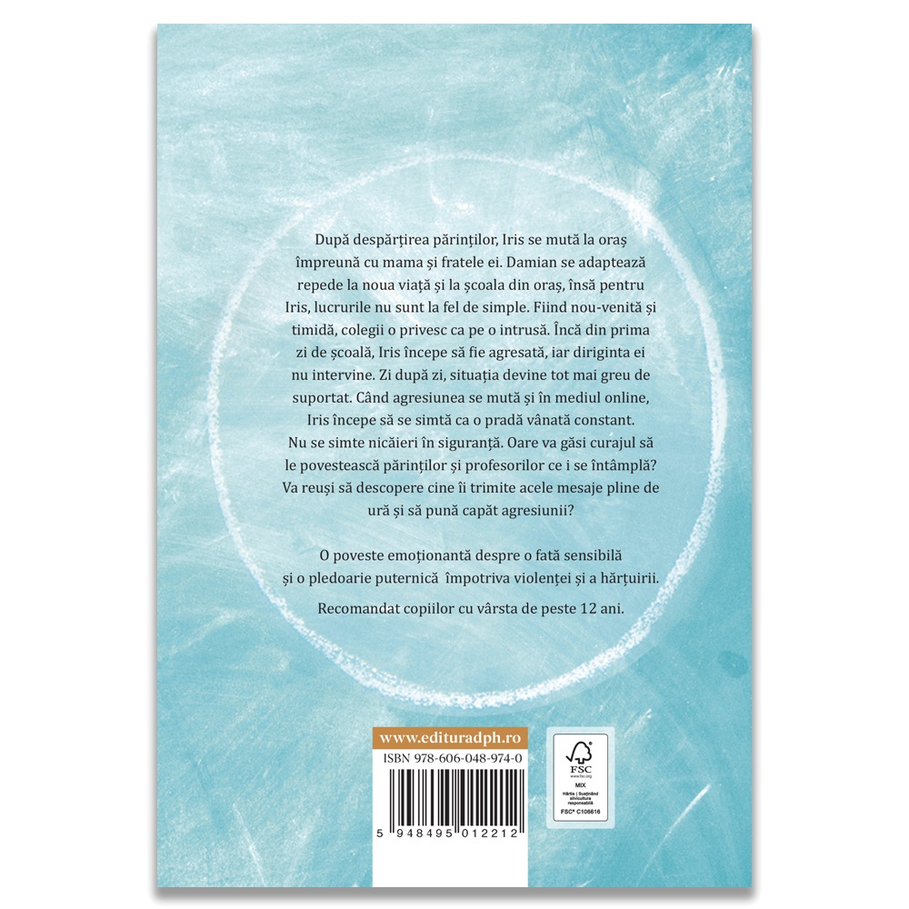 Umbre in curtea scolii - imagine 2