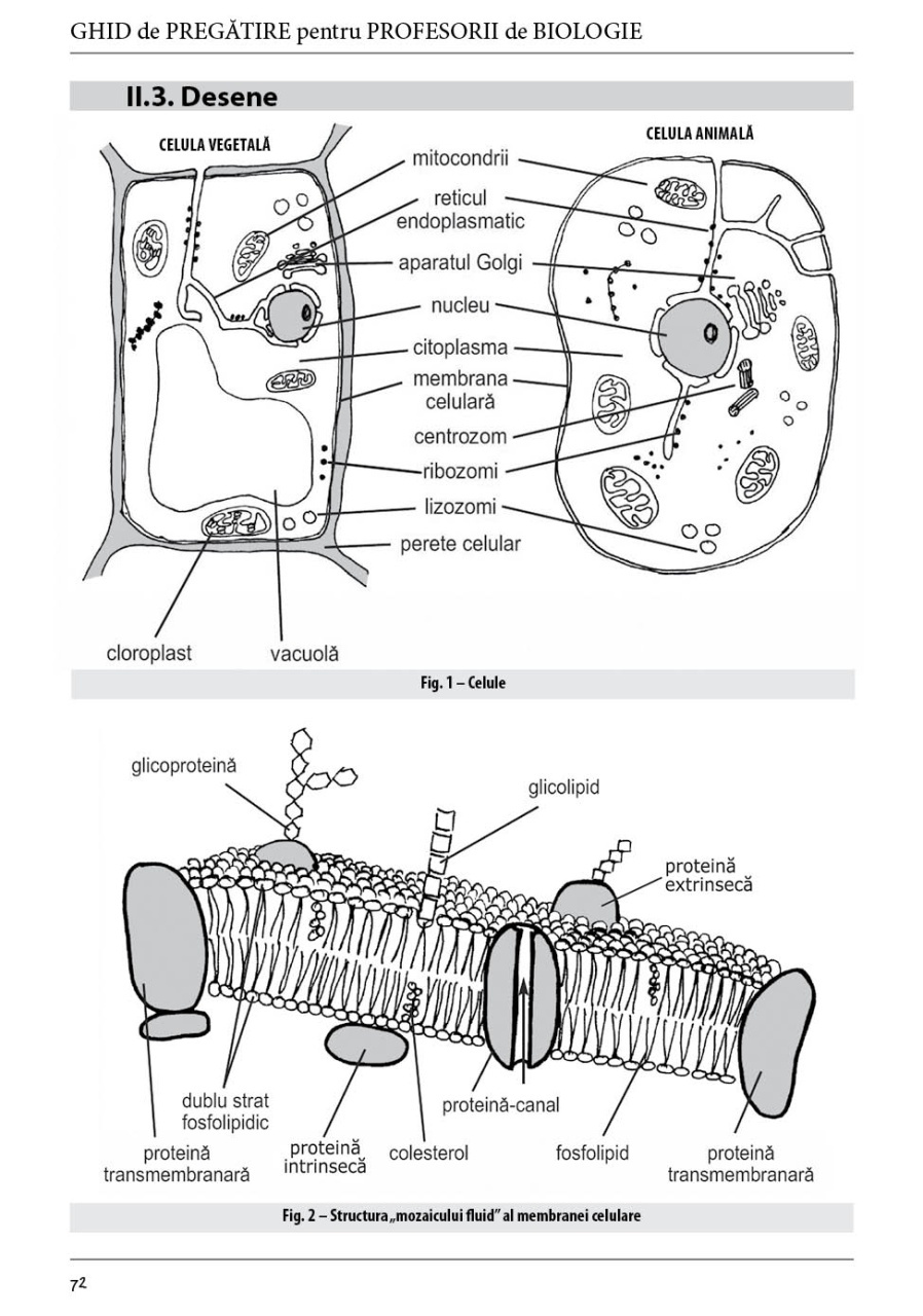 Ghid de pregatire pentru profesorii de biologie - Definitivat - Editia II - imagine 4