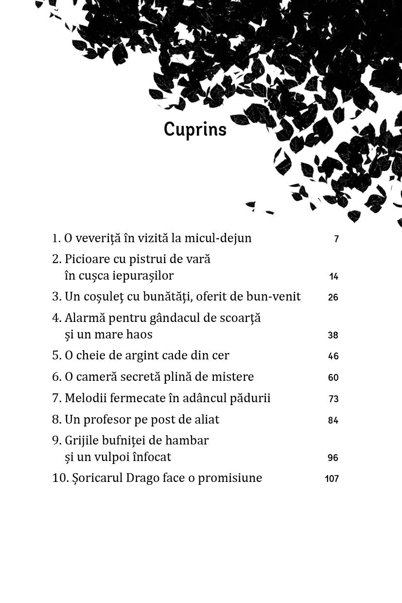 Luna si padurea magica - Vol. 1: Bufnita cu o cheie in cioc - imagine 3