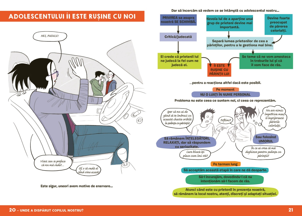 Micul dictionar ilustrat al crizelor adolescentului - imagine 4