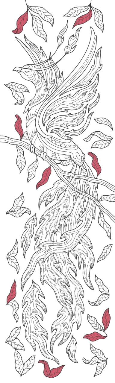 Semne de carte de colorat - Pasari de foc - imagine 3