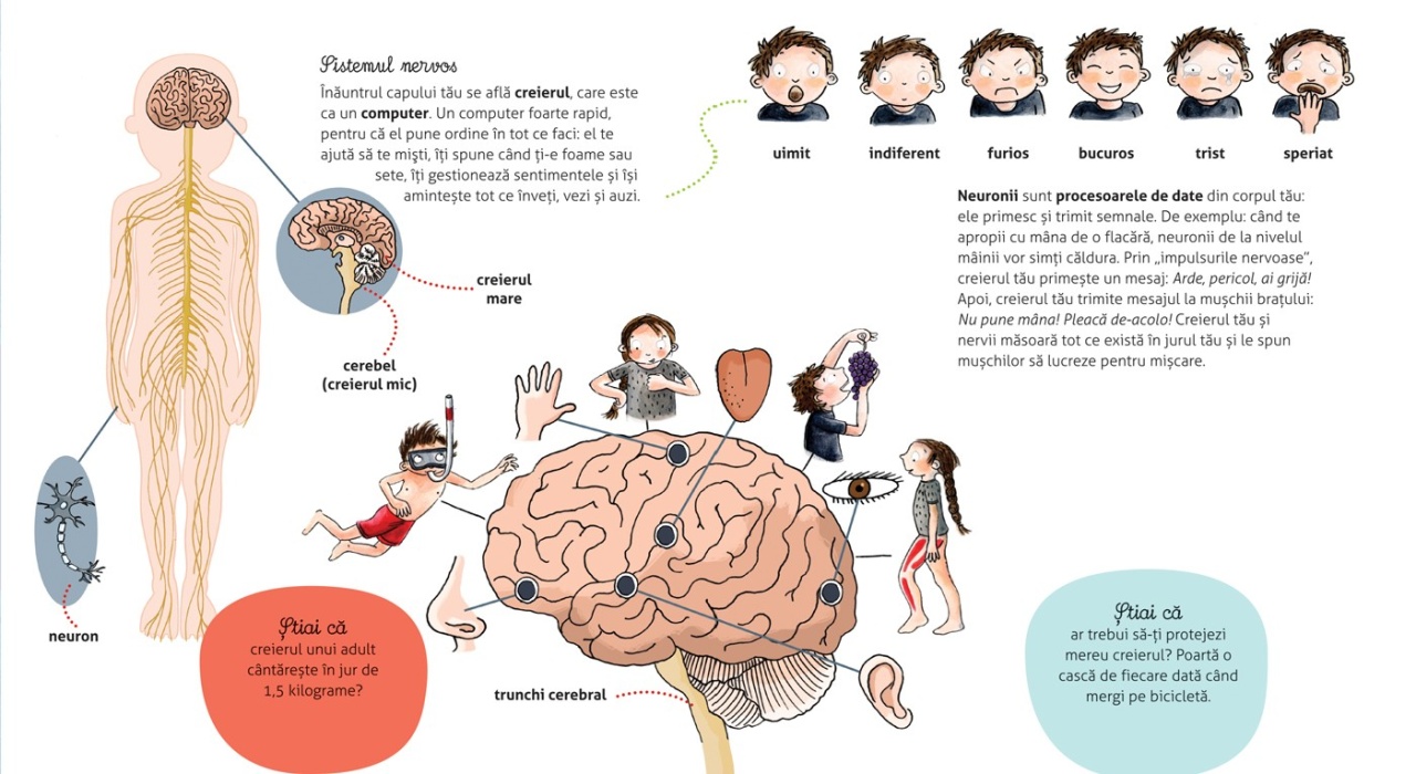 Vreau sa stiu: Cum functioneaza corpul meu - imagine 4