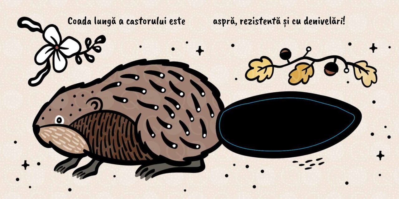 Atinge si simte - Cozi - imagine 4