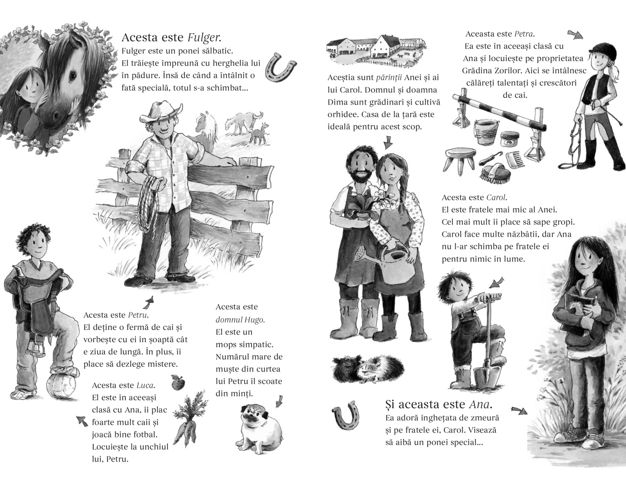 Aventuri cu ponei - Fulger si marea competitie - vol 3 - imagine 4