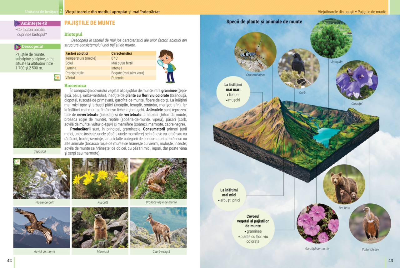Biologie: Manual pentru clasa a V-a - imagine 6
