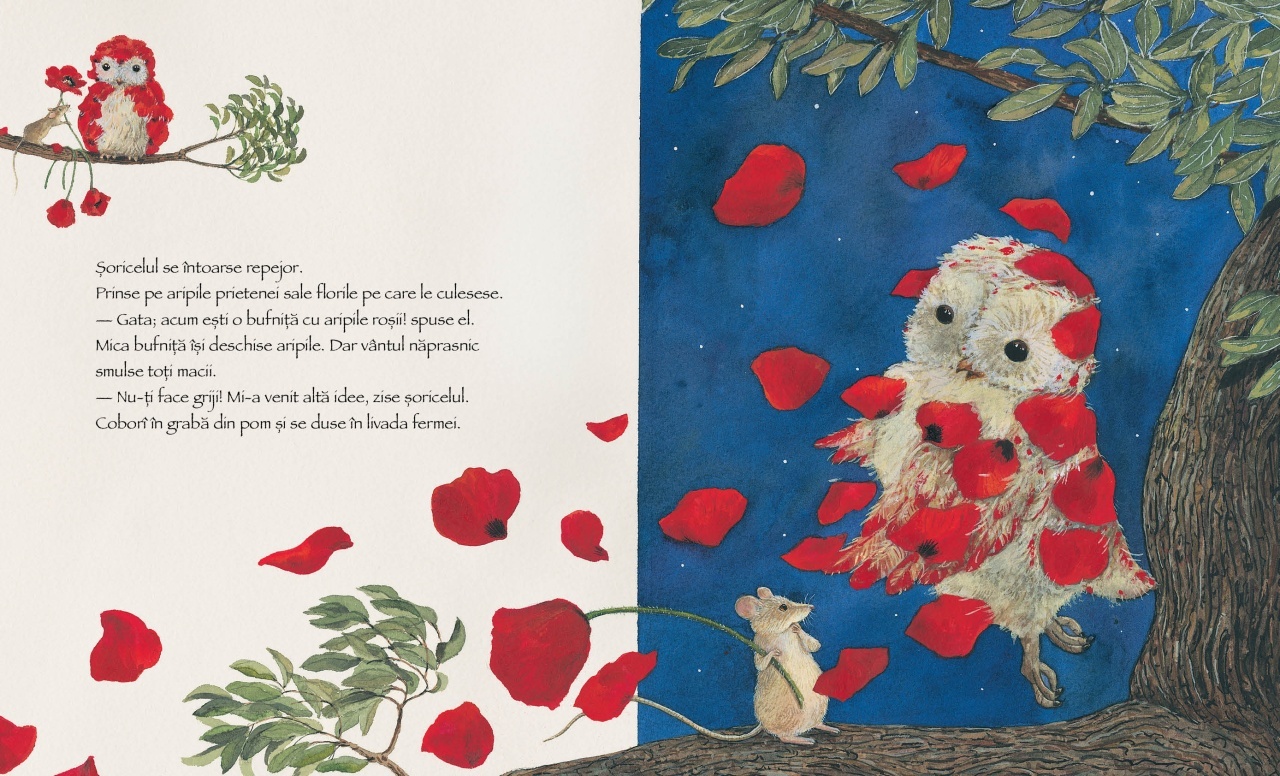 Bufnita cu aripi rosii - imagine 4