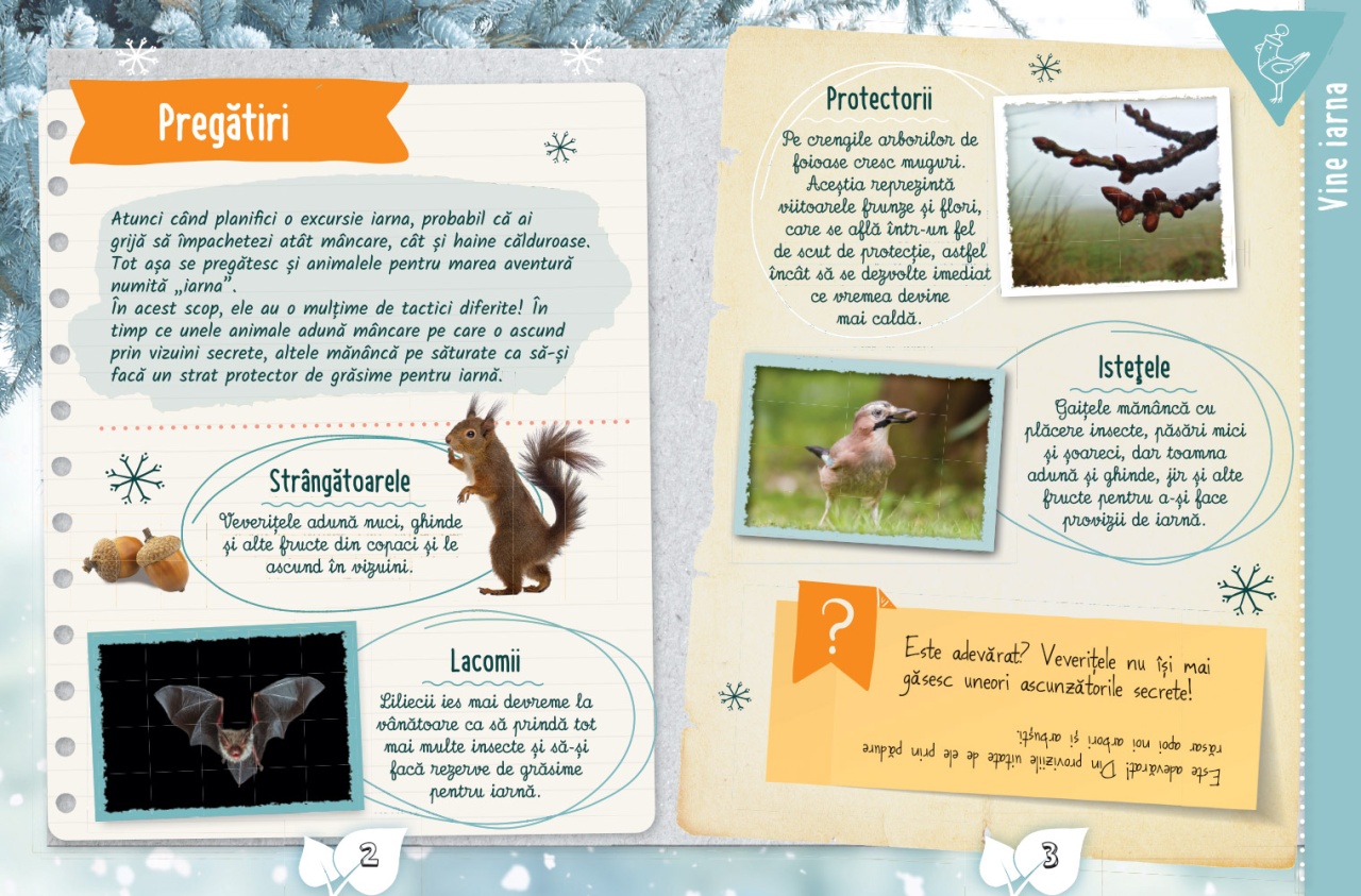 Cartea micului biolog: Iarna - imagine 3