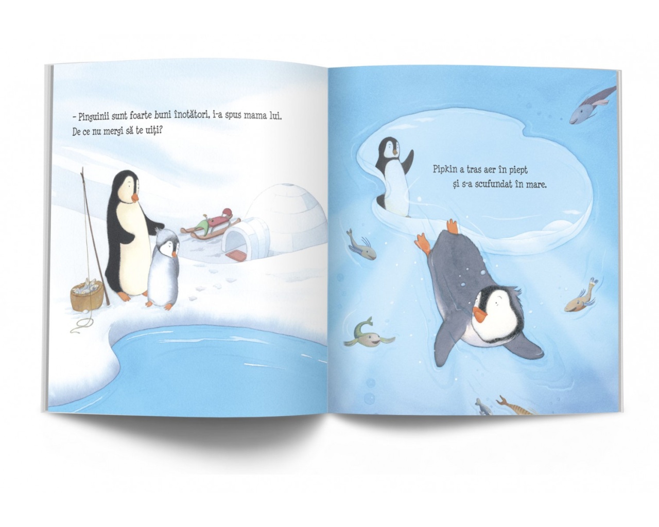 Cat de adanca este marea? - imagine 3