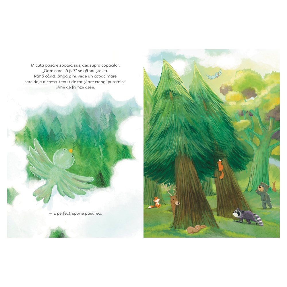 Copacii nu sunt doar pentru pasari. O poveste despre acceptare si armonie - imagine 3
