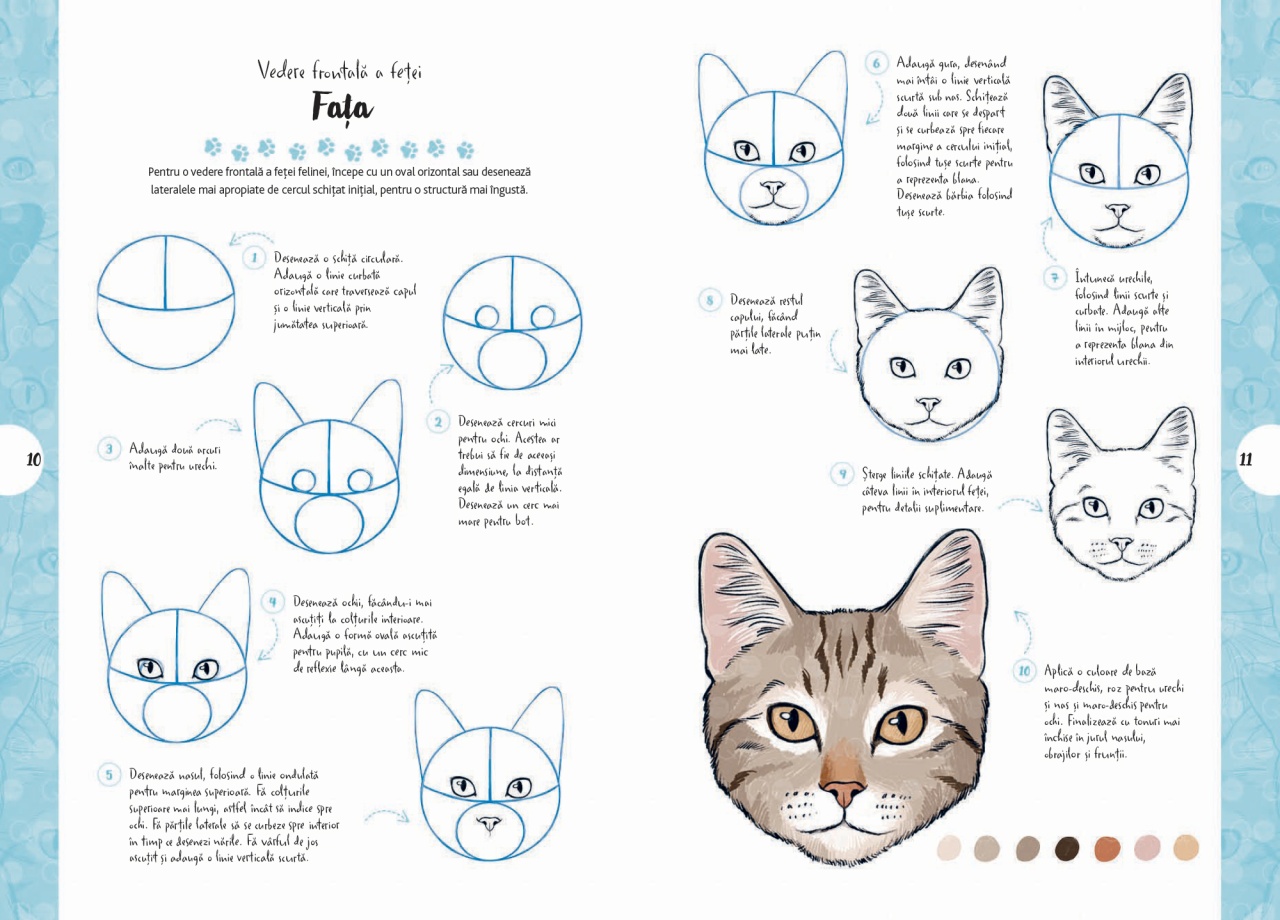 Desen in 10 pasi. Pisici - imagine 3