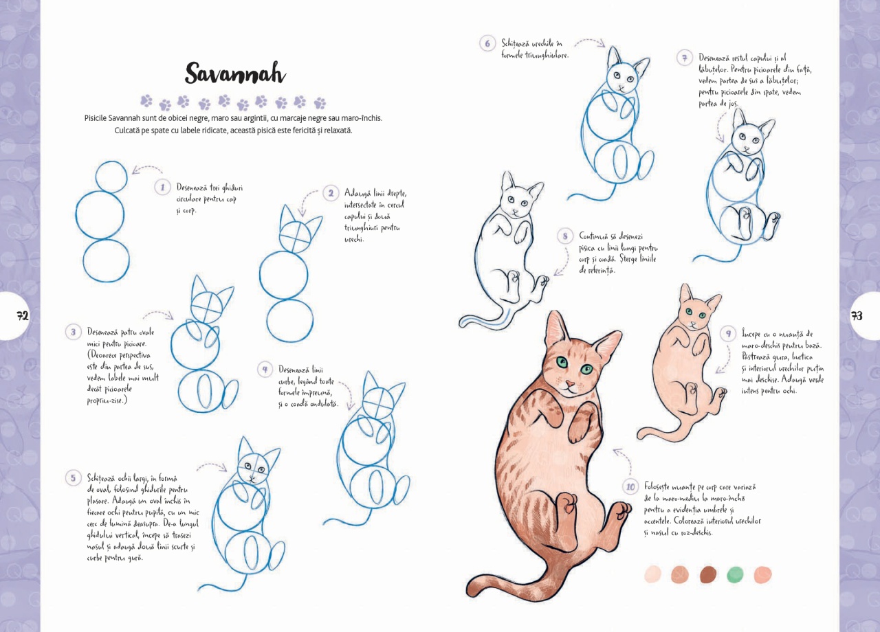 Desen in 10 pasi. Pisici - imagine 7