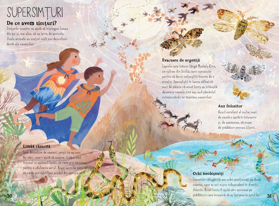 Marea carte cu intrebari - imagine 6