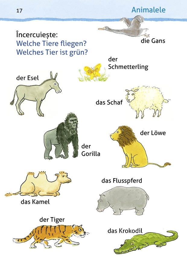 Micul meu dictionar german interactiv - imagine 6