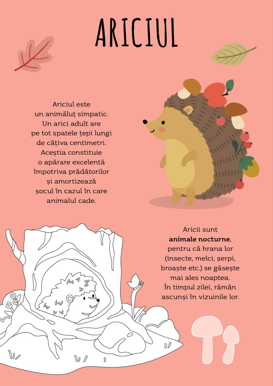 Padurea - Activitati si abtibilduri - imagine 5