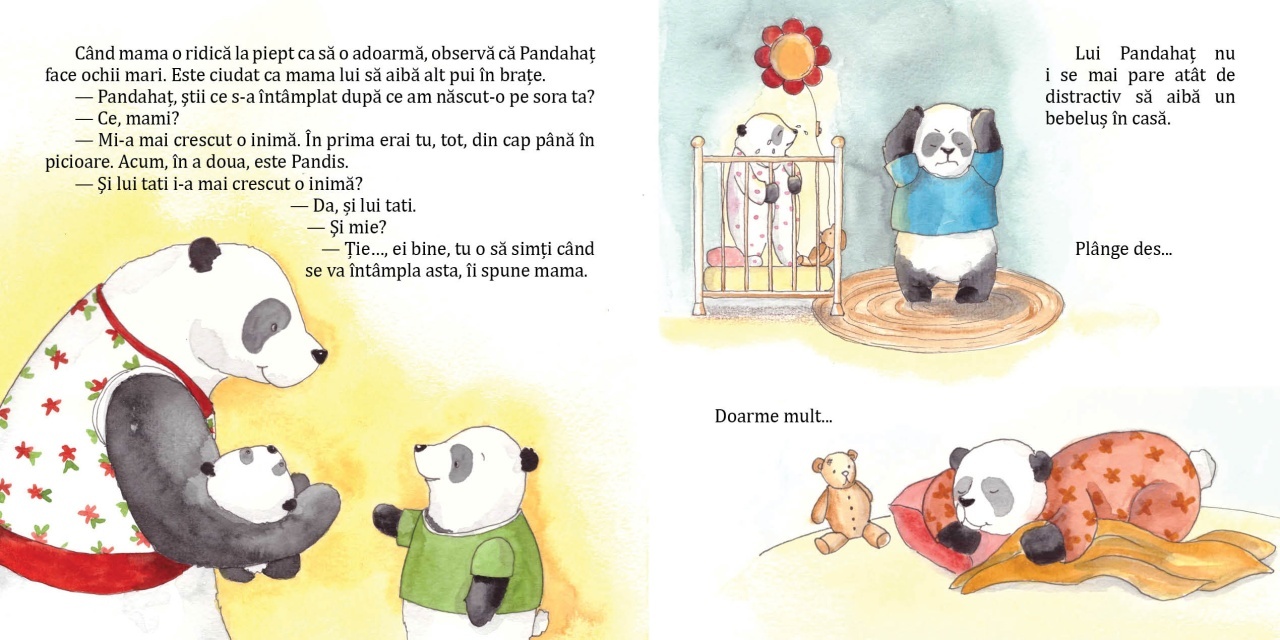 Pandahat are o surioara - imagine 5