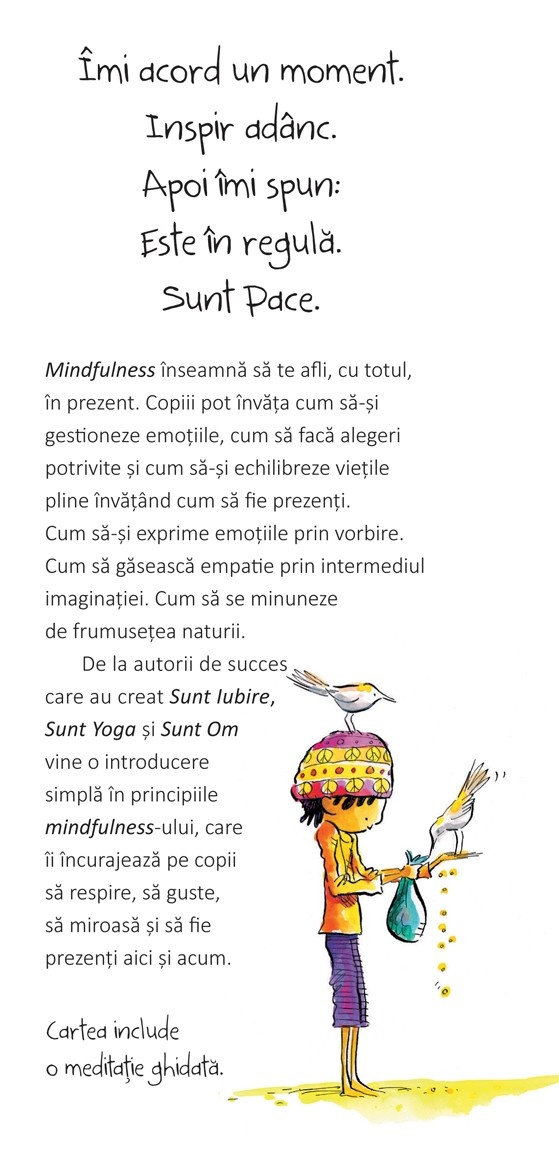 Sunt Pace: O Carte despre Mindfulness - imagine 3