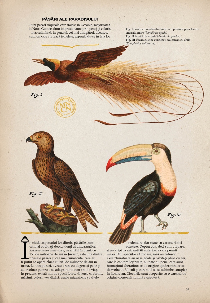 Zoologia ilustrata - imagine 5