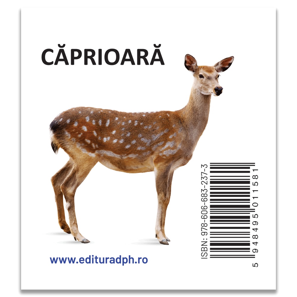 Animale salbatice - carti pliate - imagine 2