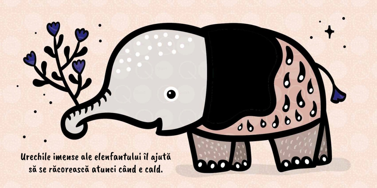 Atinge si simte - Urechi - imagine 4