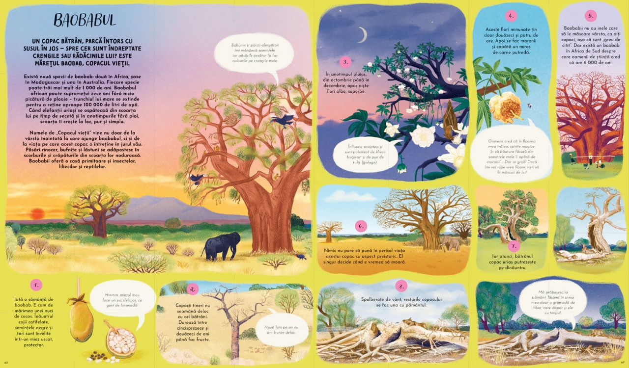 Ciclul vietii - O calatorie despre evolutia naturii - imagine 5