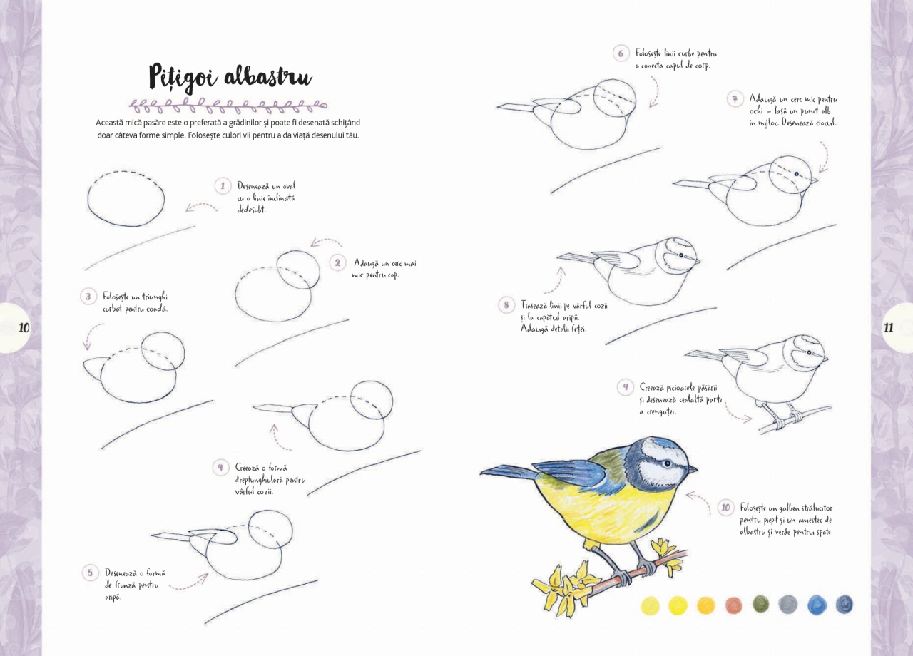 Desen in 10 pasi. Natura - imagine 3