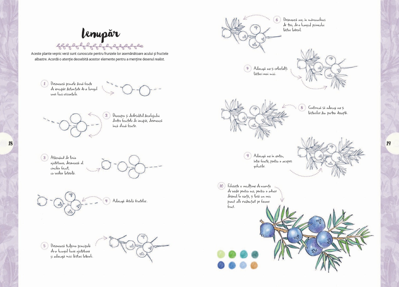Desen in 10 pasi. Natura - imagine 6