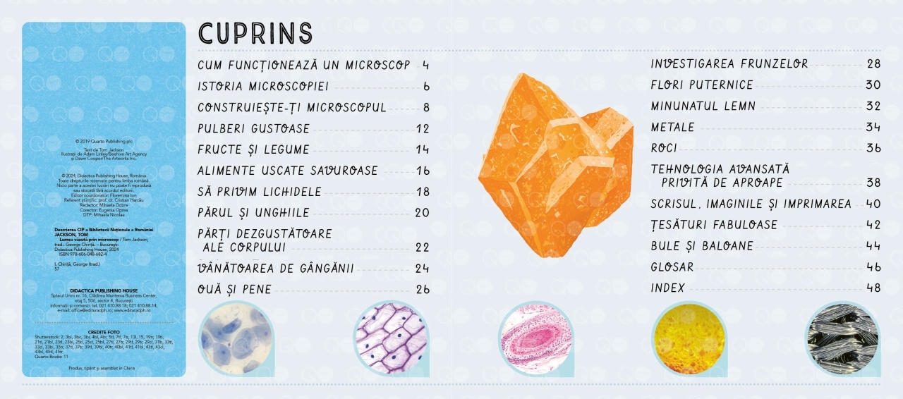 Lumea vazuta prin microscop - imagine 3