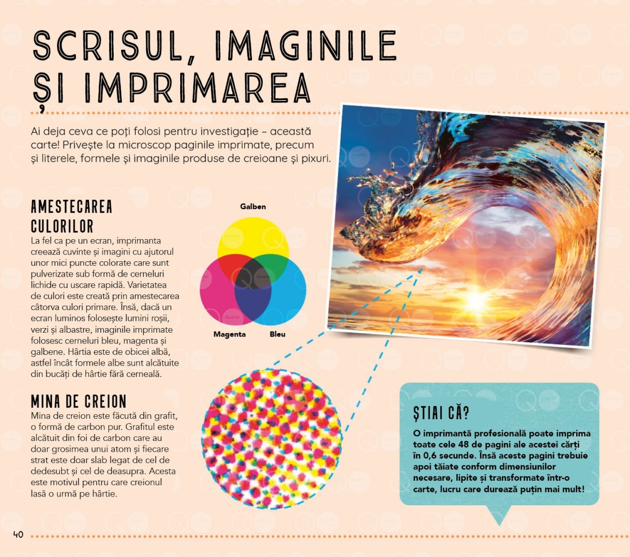 Lumea vazuta prin microscop - imagine 6