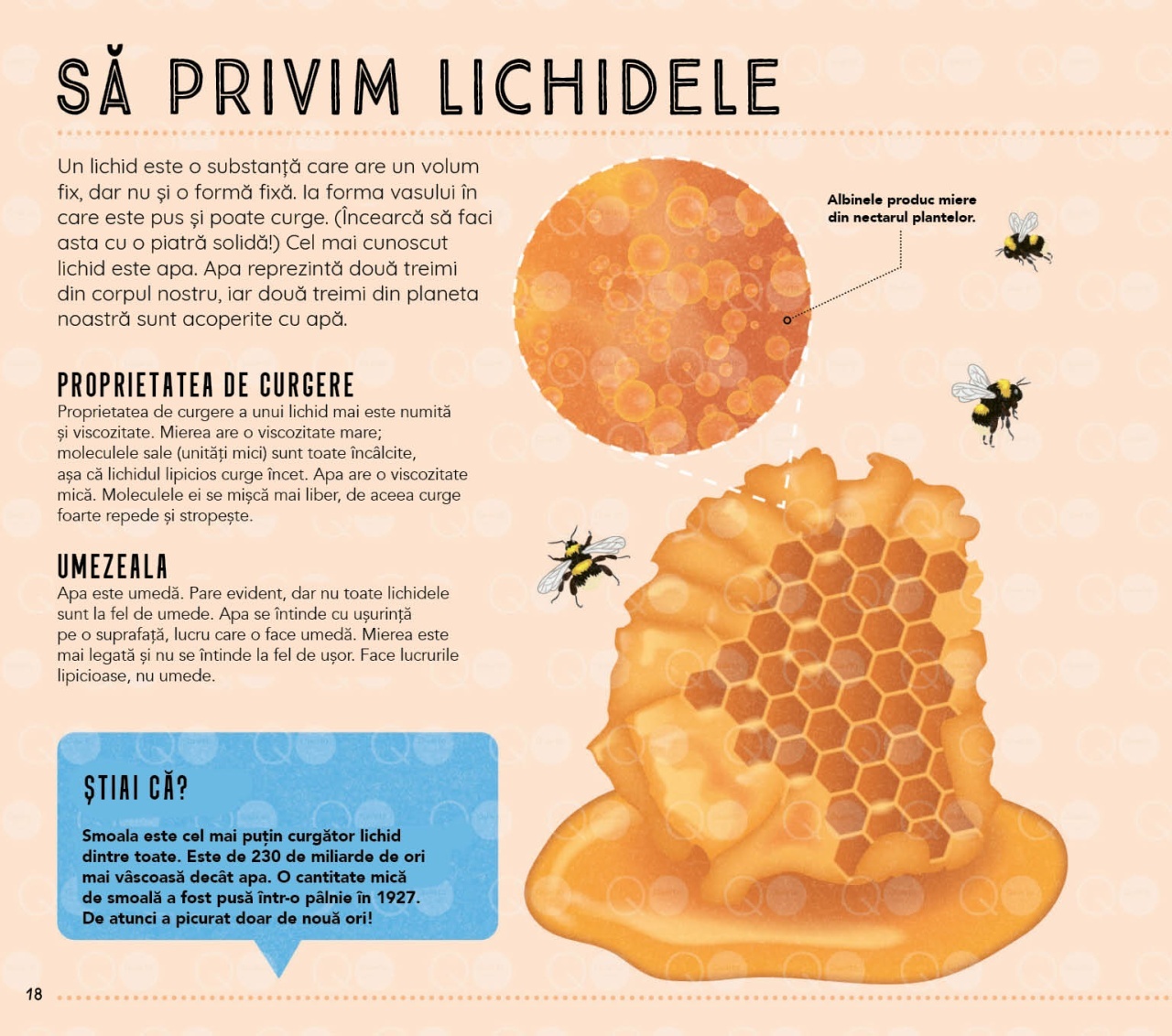 Lumea vazuta prin microscop - imagine 8