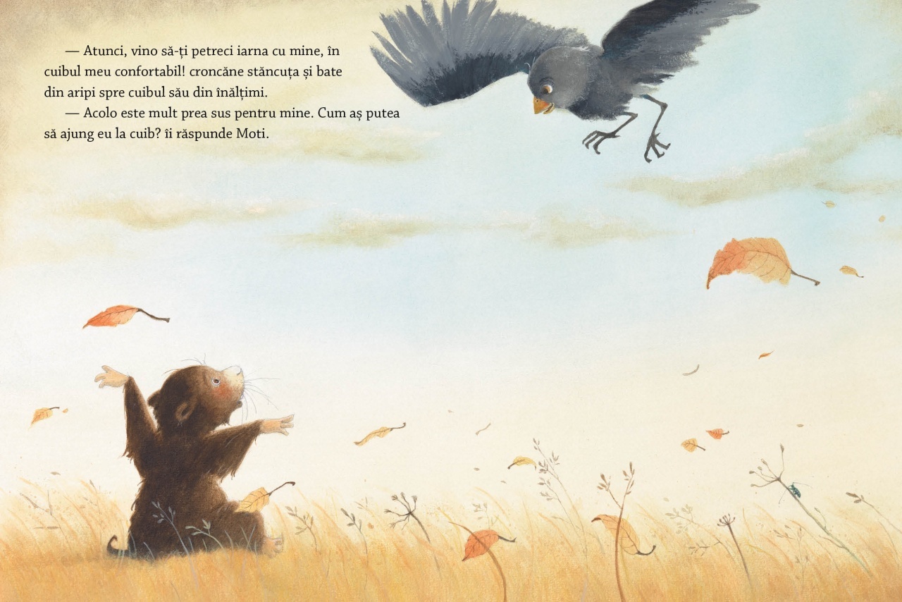 Somn usor, vise placute - imagine 4