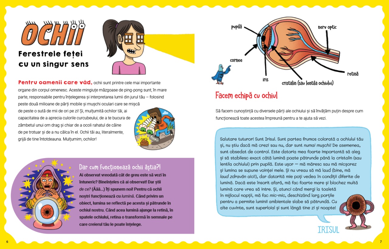 WOW in lume - Corpul omenesc - imagine 4