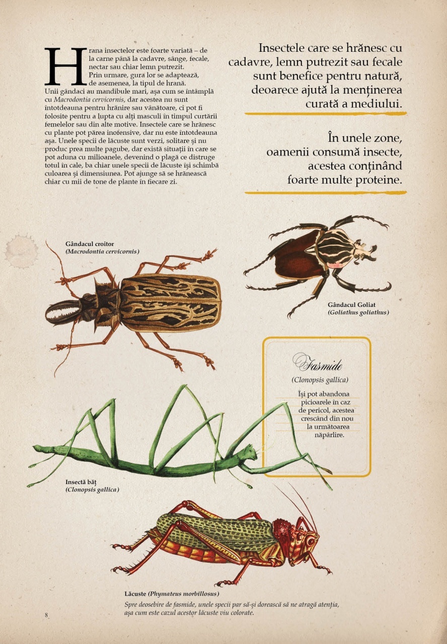 Zoologia ilustrata - imagine 3