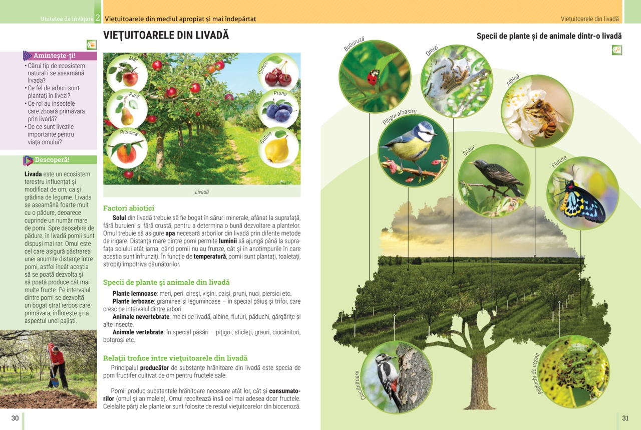 Biologie: Manual pentru clasa a V-a - imagine 7