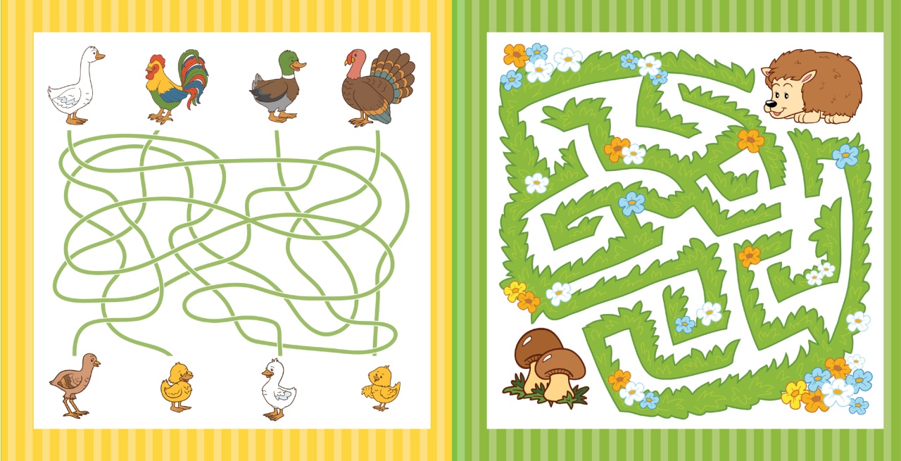 CARTEA MEA CU LABIRINTURI - 46 de labirinturi refolosibile + o carioca - imagine 3